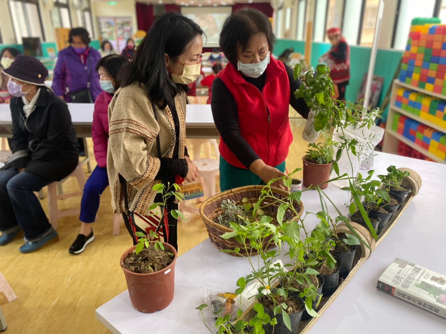 3月6日原住民原生植物傳承與應用課程，介紹阿美族素食文化與創新應用。